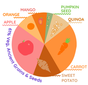 Carrot, Sweet Potato, Mango, Apple, Quinoa, Orange (Pack of 10x100g)