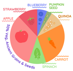 Apple, Quinoa, Blueberry, Carrot, Spinach, Strawberry (Pack of 10x100g)